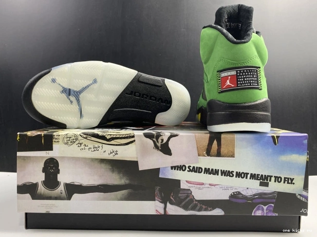 Rep Onekick 5 CK6631-307 Air Jordan SE Oregon Ducks 0607